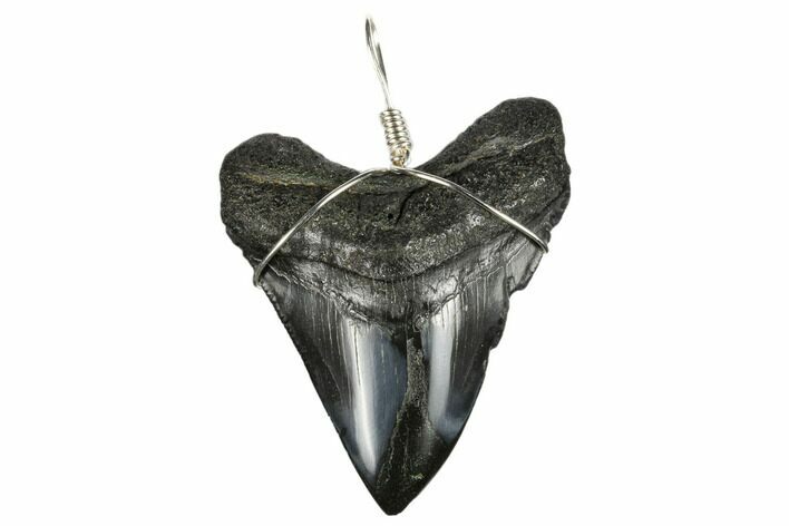 Fossil Megalodon Tooth Necklace #173822